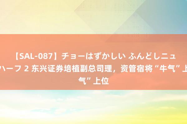 【SAL-087】チョーはずかしい ふんどしニューハーフ 2 东兴证券培植副总司理，资管宿将“牛气”上位