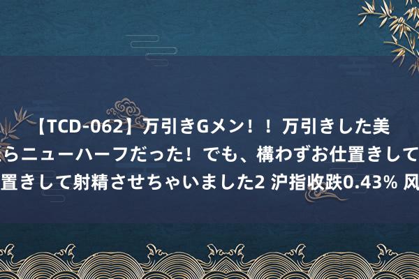 【TCD-062】万引きGメン！！万引きした美女を折檻しようと思ったらニューハーフだった！でも、構わずお仕置きして射精させちゃいました2 沪指收跌0.43% 风电开拓板块回调