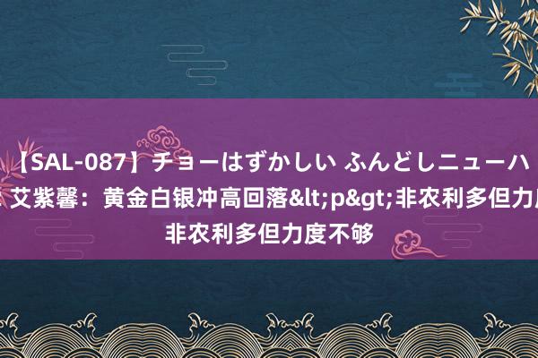 【SAL-087】チョーはずかしい ふんどしニューハーフ 2 艾紫馨：黄金白银冲高回落<p>非农利多但力度不够