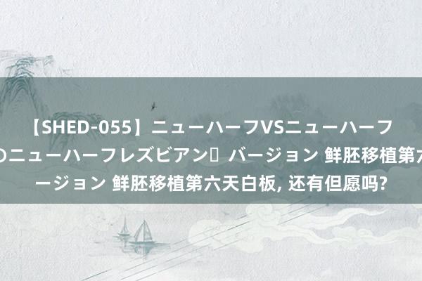 【SHED-055】ニューハーフVSニューハーフ 不純同性肛遊 2 魅惑のニューハーフレズビアン・バージョン 鲜胚移植第六天白板, 还有但愿吗?