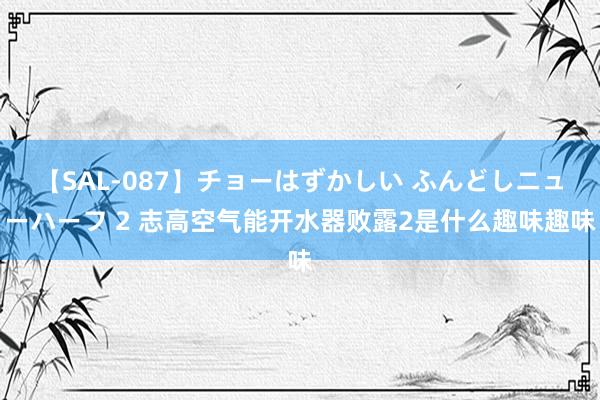 【SAL-087】チョーはずかしい ふんどしニューハーフ 2 志高空气能开水器败露2是什么趣味趣味