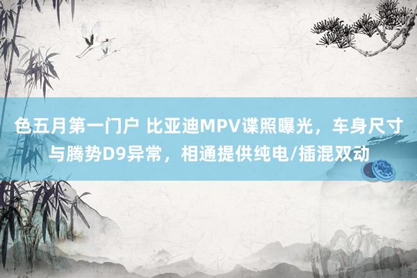 色五月第一门户 比亚迪MPV谍照曝光，车身尺寸与腾势D9异常，相通提供纯电/插混双动