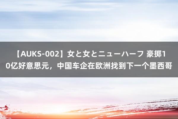 【AUKS-002】女と女とニューハーフ 豪掷10亿好意思元，中国车企在欧洲找到下一个墨西哥