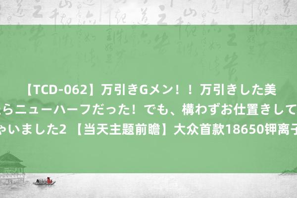 【TCD-062】万引きGメン！！万引きした美女を折檻しようと思ったらニューハーフだった！でも、構わずお仕置きして射精させちゃいました2 【当天主题前瞻】大众首款18650钾离子电板问世，有望替代传统锂离子电板