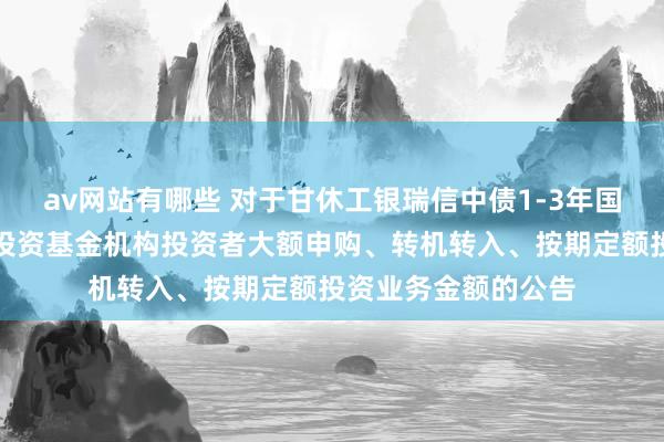 av网站有哪些 对于甘休工银瑞信中债1-3年国开行债券指数证券投资基金机构投资者大额申购、转机转入、按期定额投资业务金额的公告