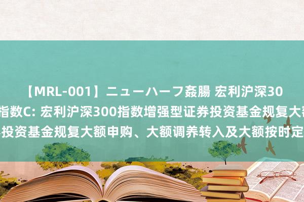 【MRL-001】ニューハーフ姦腸 宏利沪深300指数A,宏利沪深300指数C: 宏利沪深300指数增强型证券投资基金规复大额申购、大额调养转入及大额按时定额投资业务公告