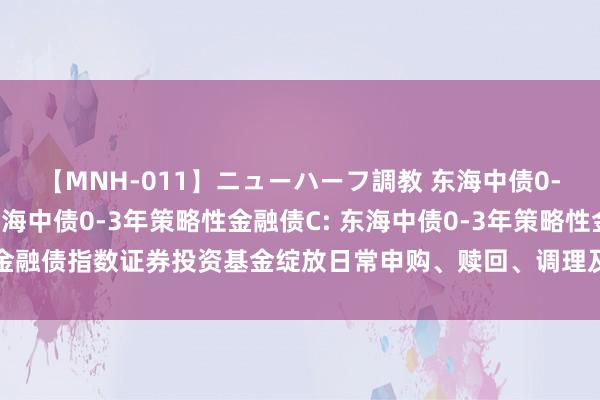 【MNH-011】ニューハーフ調教 东海中债0-3年策略性金融债A,东海中债0-3年策略性金融债C: 东海中债0-3年策略性金融债指数证券投资基金绽放日常申购、赎回、调理及如期定额投资业务的公告