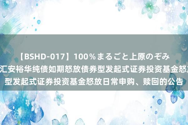 【BSHD-017】100％まるごと上原のぞみ 汇安裕华纯债如期怒放: 汇安裕华纯债如期怒放债券型发起式证券投资基金怒放日常申购、赎回的公告