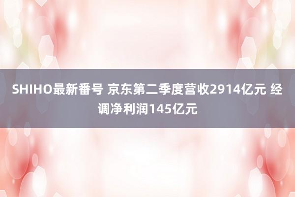 SHIHO最新番号 京东第二季度营收2914亿元 经调净利润145亿元