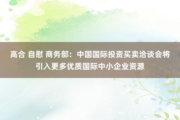 高合 自慰 商务部：中国国际投资买卖洽谈会将引入更多优质国际中小企业资源