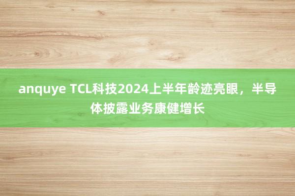 anquye TCL科技2024上半年龄迹亮眼，半导体披露业务康健增长