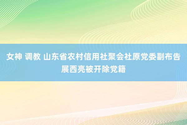 女神 调教 山东省农村信用社聚会社原党委副布告展西亮被开除党籍