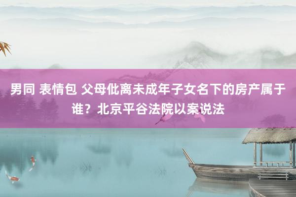 男同 表情包 父母仳离未成年子女名下的房产属于谁？北京平谷法院以案说法