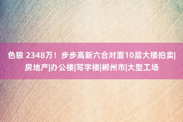 色狼 2348万！步步高新六合对面10层大楼拍卖|房地产|办公楼|写字楼|郴州市|大型工场